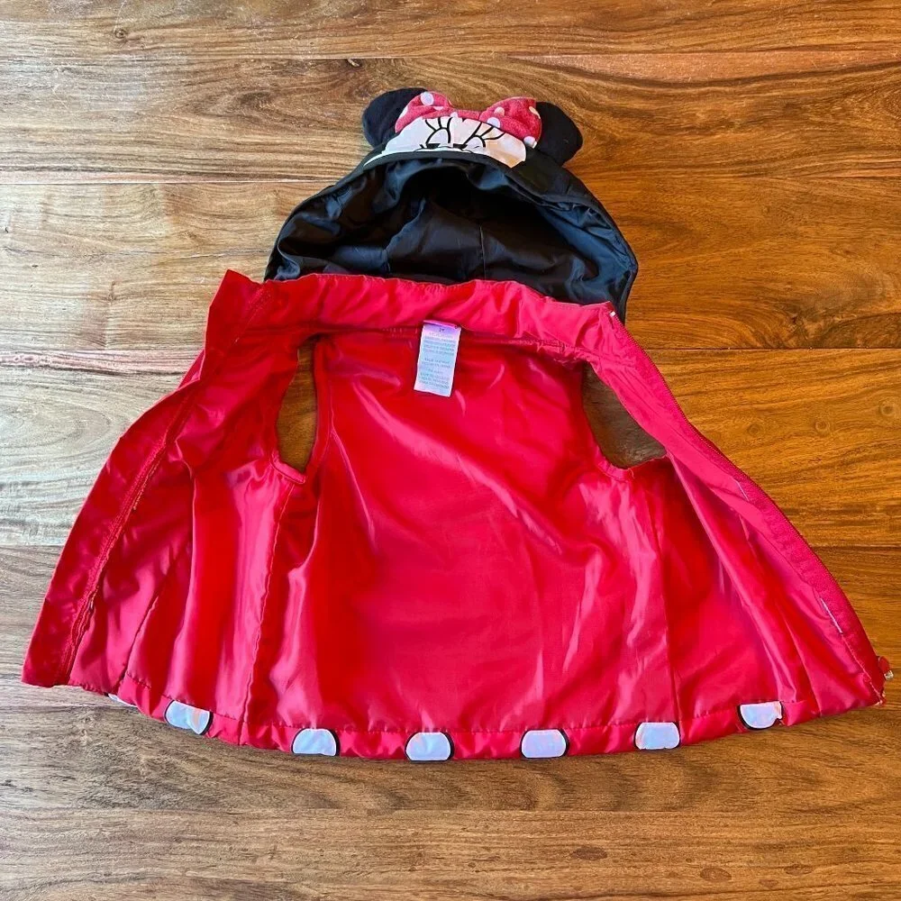 Disney minnie mouse
